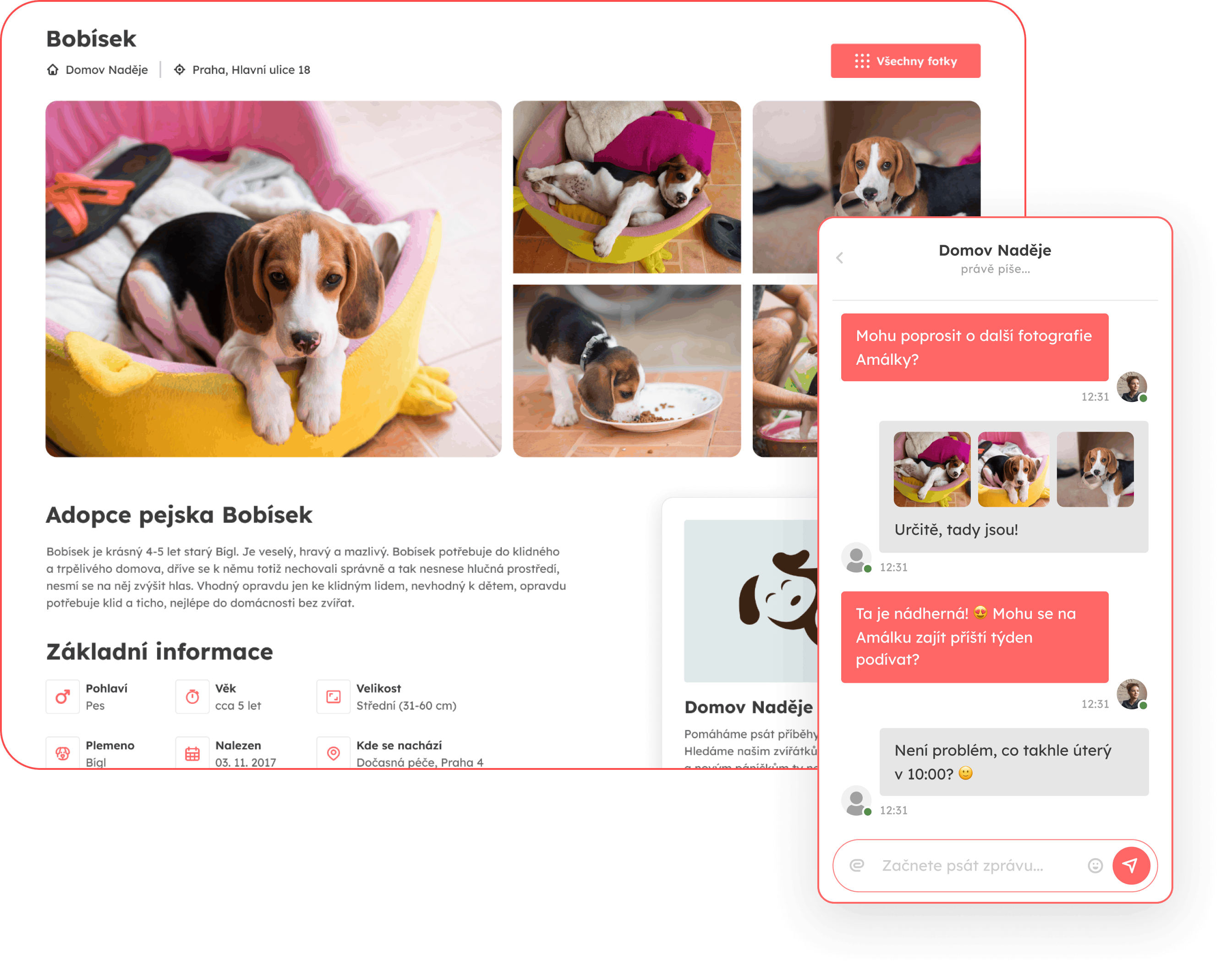 app showcase